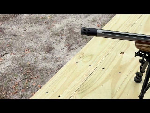 Ruger Custom 10/22 with weaver 3-9x40