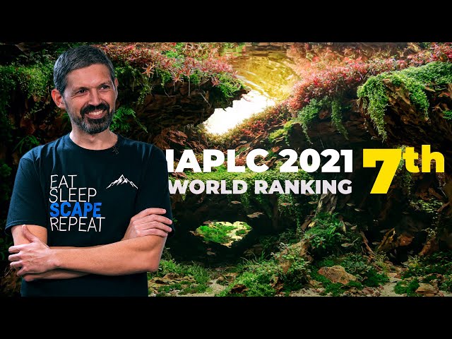 IAPLC Bronze Prize Winner: “How I Made My Aquascape”
