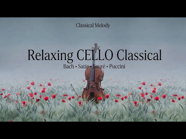Timeless Cello Classic 🎻 [No Ads] | Relaxing Classical Music for Reading & Rest | Relax, Heal