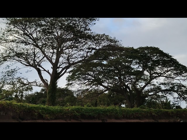 another 360live expe