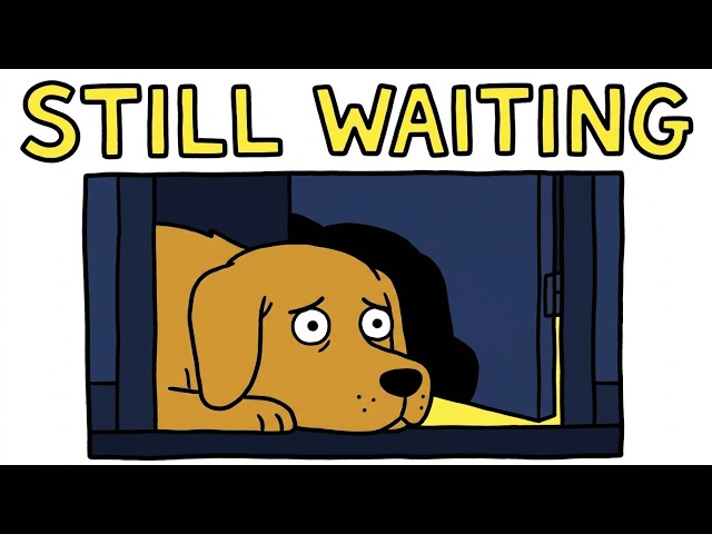 Do Animals Miss You When You're Gone?