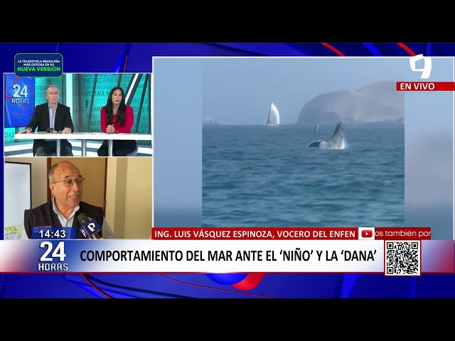 Specialist explains sea behavior regarding the El Niño phenomenon and DANA (1/2)