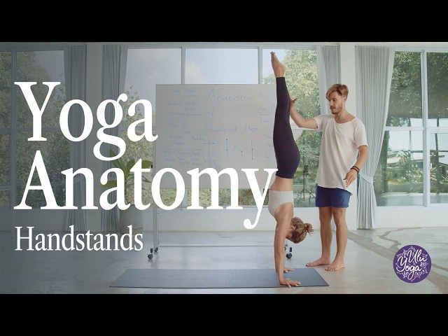 Handstand Anatomy & Alignment | Avoid Pain & Build Strength
