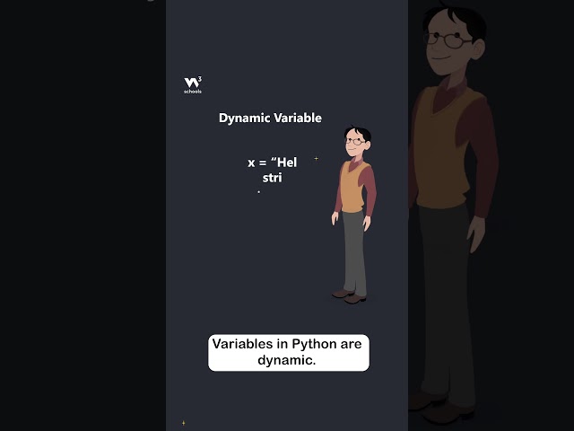 Python Variables - Part 2 - Variable Types - #w3schools #python #programming