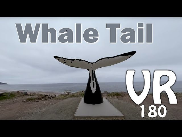 Pleasant Bay Whale Trail setup in 180 VR video Cape Breton Nova Scotia