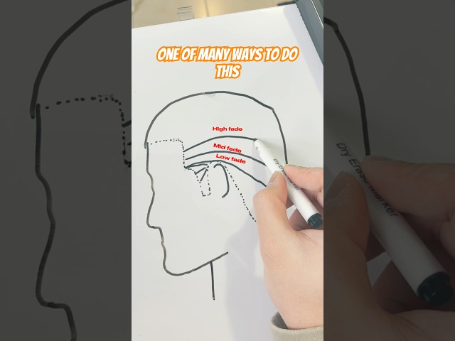 Basic guide for tapers and fades #hairstyle #fade #skinfade #haircut #barber #taper #hair #fadehair