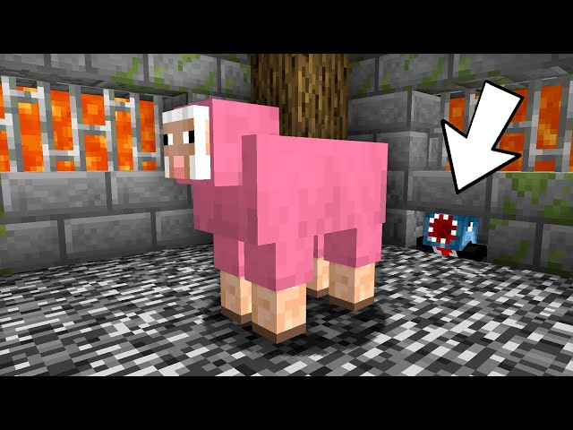 Operation: Yoink The Sheep