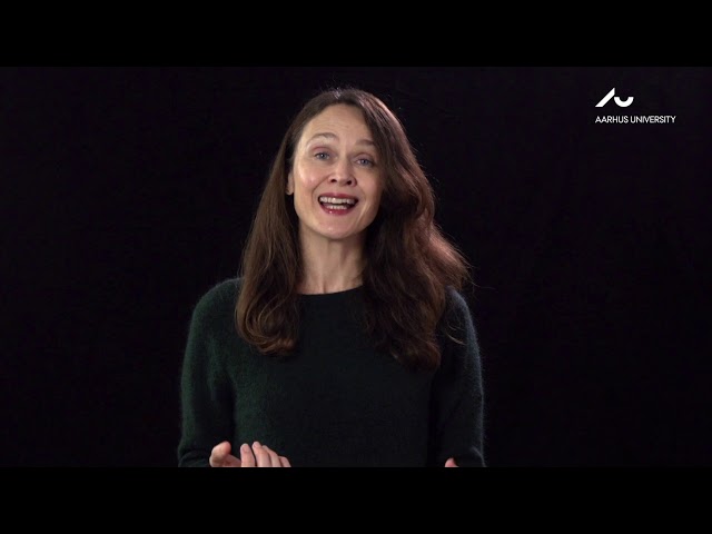 Sarah Pink  Video in Anthropological Research