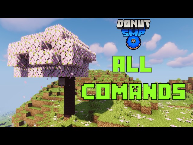How to get Started on the Donut SMP for Beginners - Updated Commands