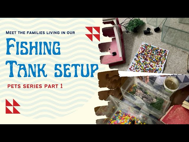 மீன் துட்டி SETUP பண்ணப்போறோம் பிரென்ஸ் 😍 | Tamil | Fish Tank Setup | Part 1 | Pets Series #pets