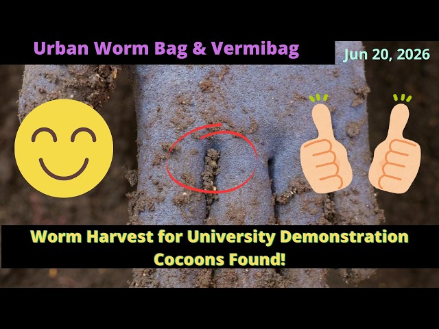 Urban Worm Bag and Vermibag Max Update! (June 20, 2026)