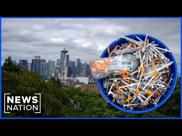 Volunteer group cleaning up needles in Seattle being investigated by Washington State