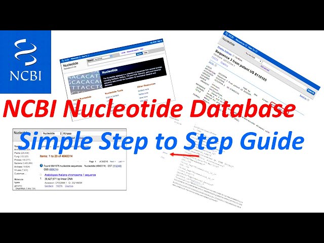 (Bioinformatics) Biological Databases | NCBI Nucleotide Database (Bioinformatic Practical Part-1)
