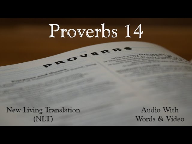 Proverbs 14 - Holy Bible - New Living Translation (NLT) Audio Bible With Video