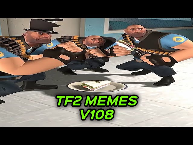 TF2 MEMES V108