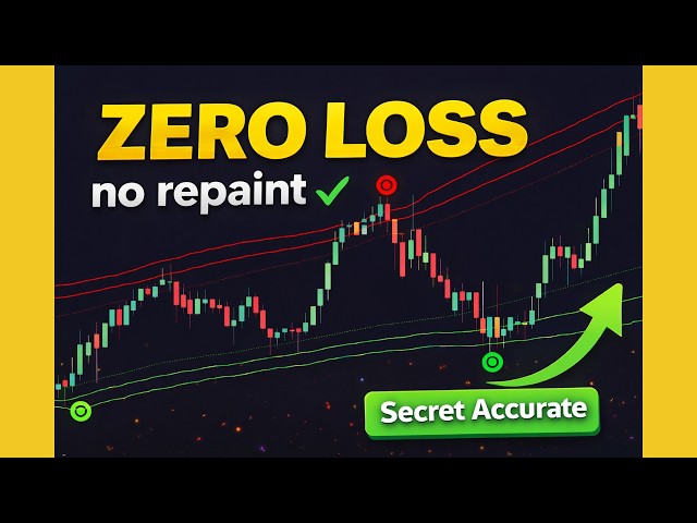 Top TradingView MT5 Indicators Tested, INSANE Results!