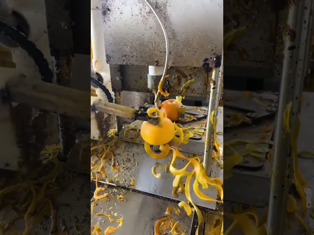 Industrial Orange Peeling Machine | Fast & Efficient Automatic Citrus Peeling Process