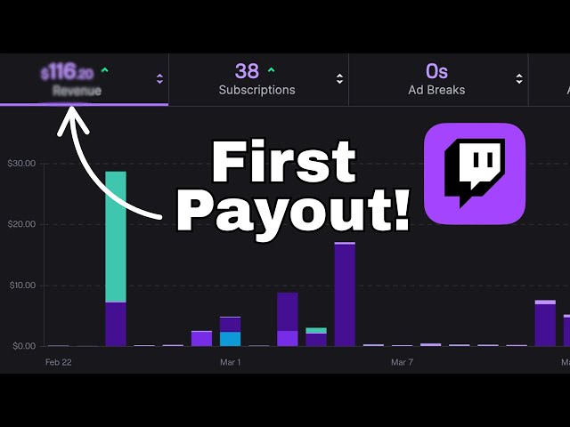 How much do Small Streamers REALLY Make?