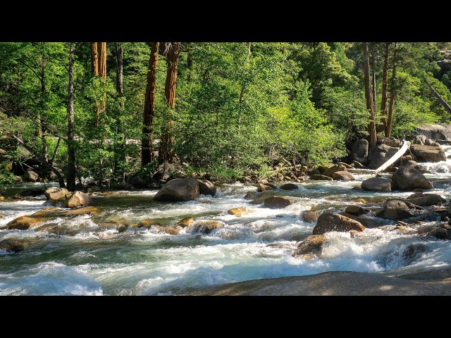 Autumn Forest Mood – Calming River, Water Sounds for Sleep & Focus, | Autumn Nature Atmosphere