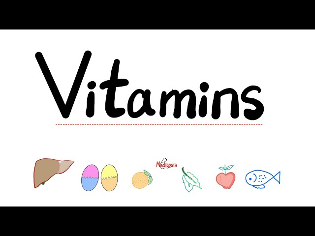 13 Vitamins in 26 Minutes - All Vitamins - Quick Review - Diet & Nutrition - Biochemistry