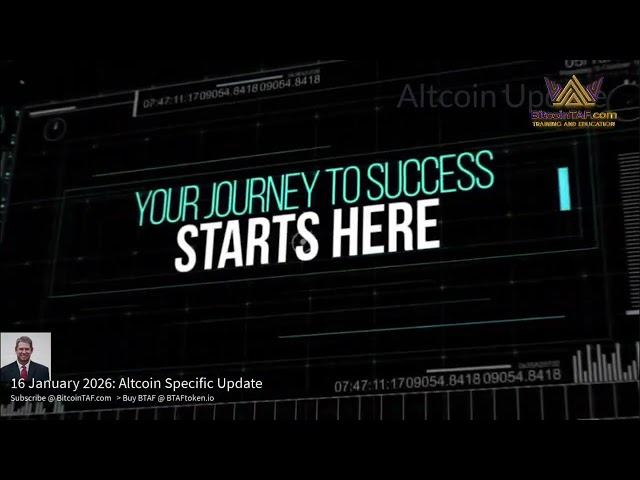 Bitcoin vs  Altcoins  Unlocking Trading Algorithm Forecasts