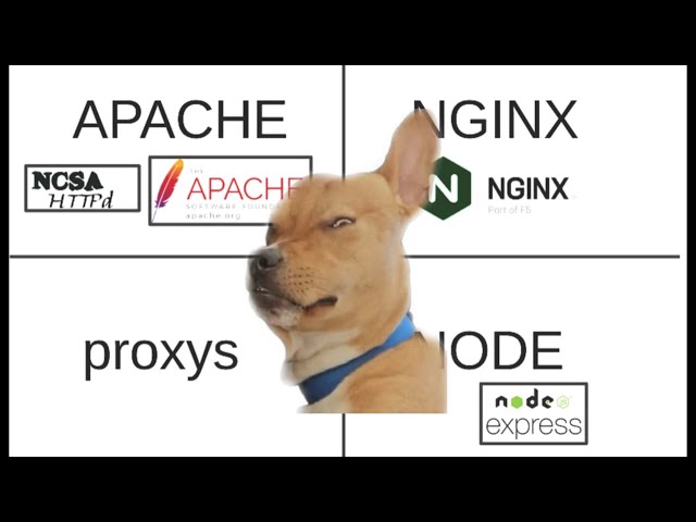 Apache, Nginx, Node.js y Proxys: Guía Conceptual para Principiantes