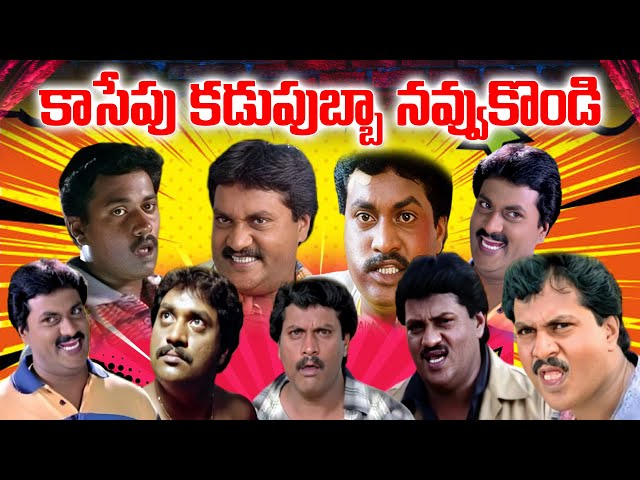 సునీల్ కామెడీకి కడుపుబ్బా నవ్వుకోండి | Sunil Non Stop Back to Back Comedy Scenes | iDream