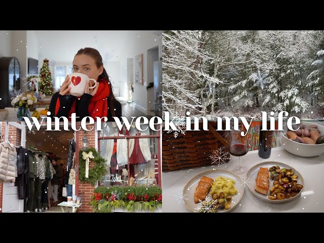 vlogmas | primera nevada, paseo navideño en Nantucket, proyecto de casa, ¡recetas de cenas favori...