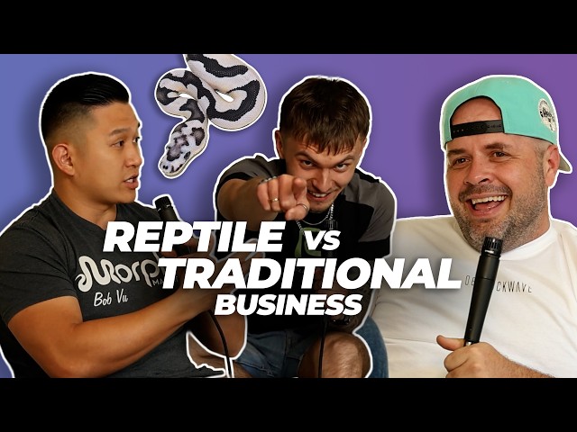 $1,000,000 Reptile Business vs Traditional Business | #ballpython #snake #reptiles