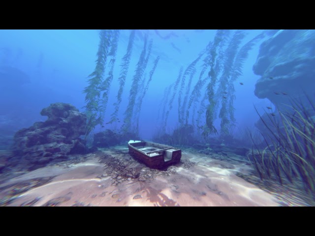 Operation Apex - Echo Grove