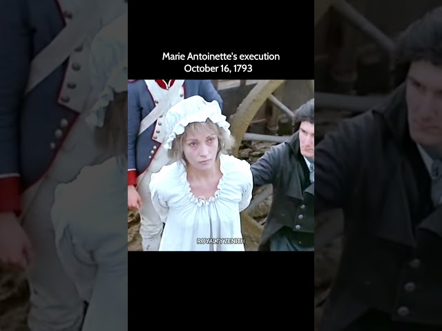 Marie Antoinette's execution #history #viral #shorts #royal #marieantoinette #queen #royalty