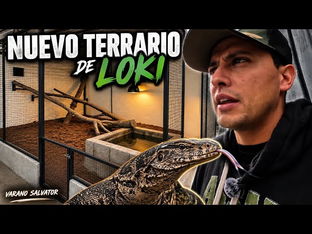 LOKI TERRARIUM