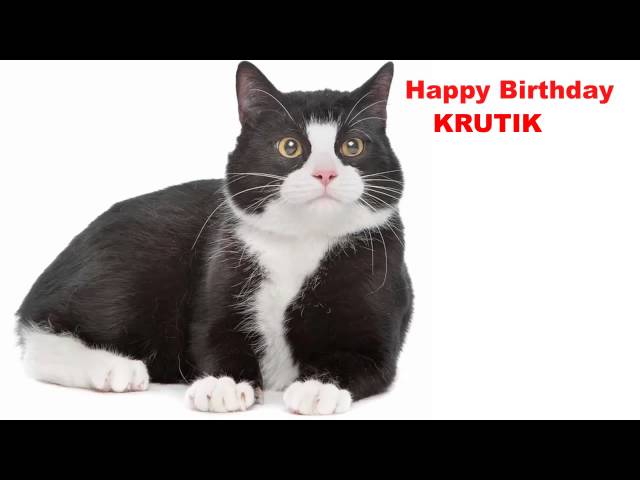 Krutik   Cats Gatos - Happy Birthday