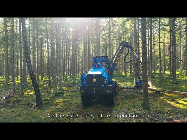 Sustainable Forestry Rottne
