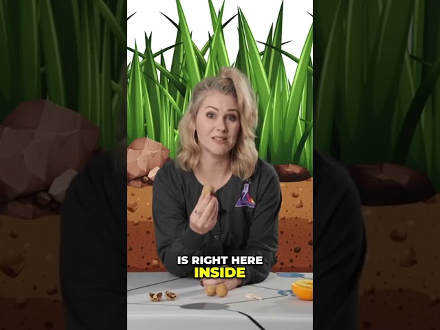 Seed Secrets: Unlocking Growth with the Right Conditions!