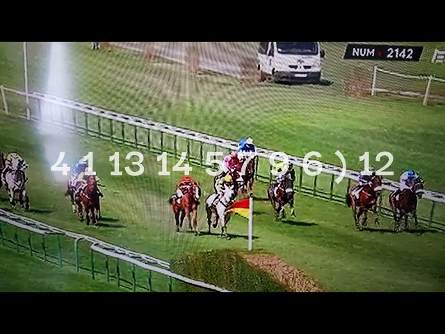 PRONO Q+  PMU MICOTURF DU 26. 8. 2026