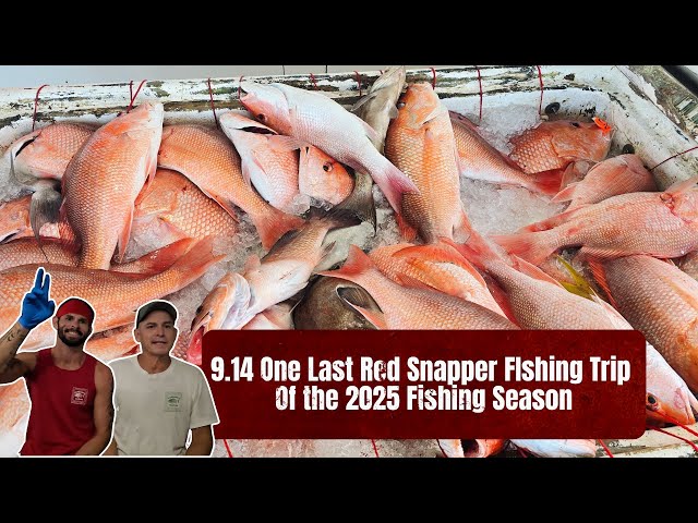 Red Snapper Finale! Our Last Red Snapper Trip of the Season! | Crushin' it w/ the Carty's