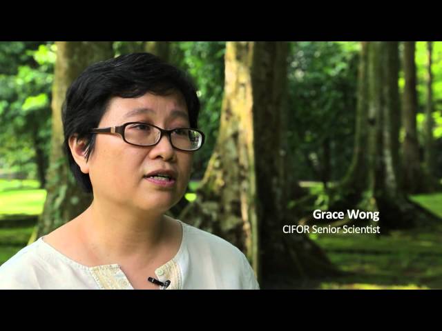 CIFOR's 20th Anniversary