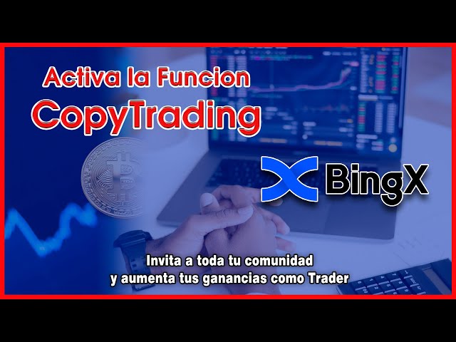Genera Ganancias como Trader Élite en el Copy Trading en BingX 🚀