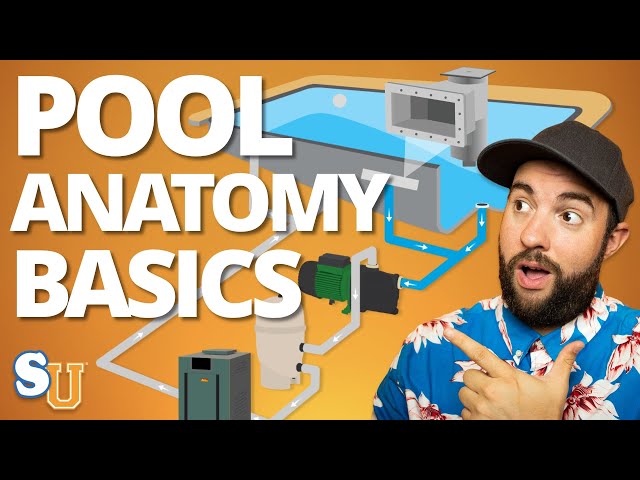 POOL ANATOMY and PLUMBING For Beginners (Step-By-Step Walkthrough)