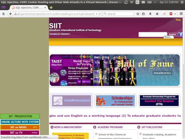 Web Security Attacks (ITS335, L24, Y14)