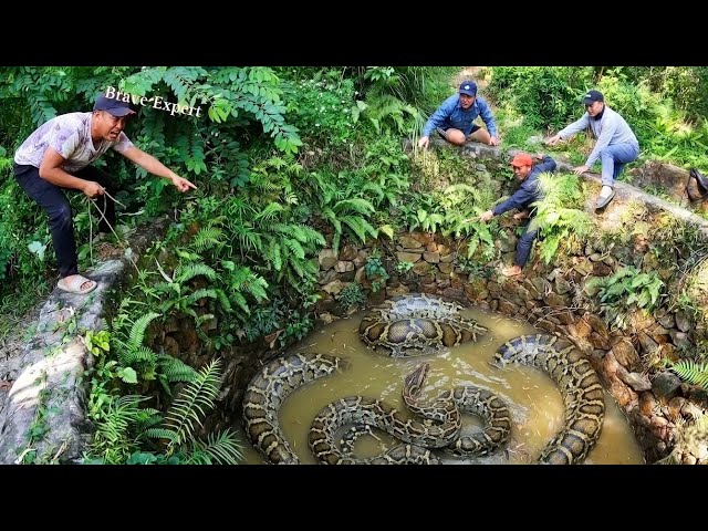 Brave Hunter Rescued 2 Giant Pythons Trapped In Well 
