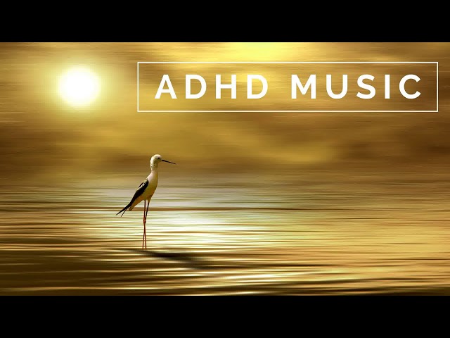 ADHD Music - Focus Music for Better Concentration, Study Music for ADD