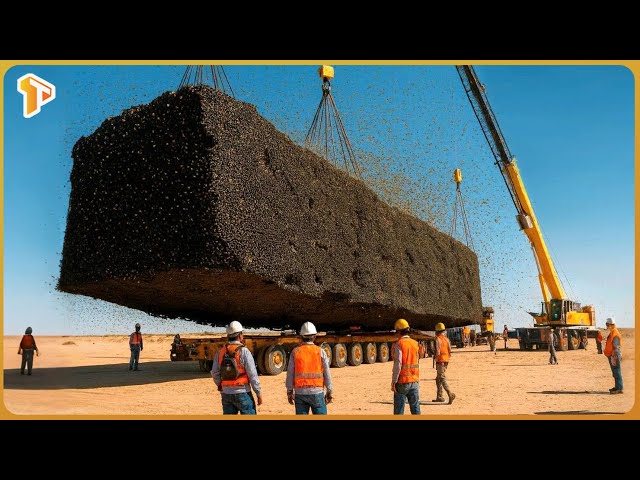 Pollination Management Project: Supporting Ecosystems in Desert Regions