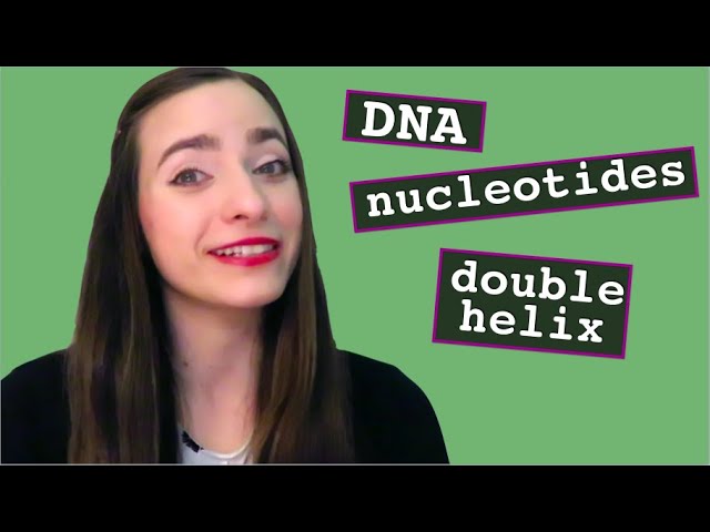 DNA - structure of the double helix