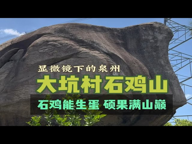 泉州南安丰州大坑村的天然奇石石鸡山