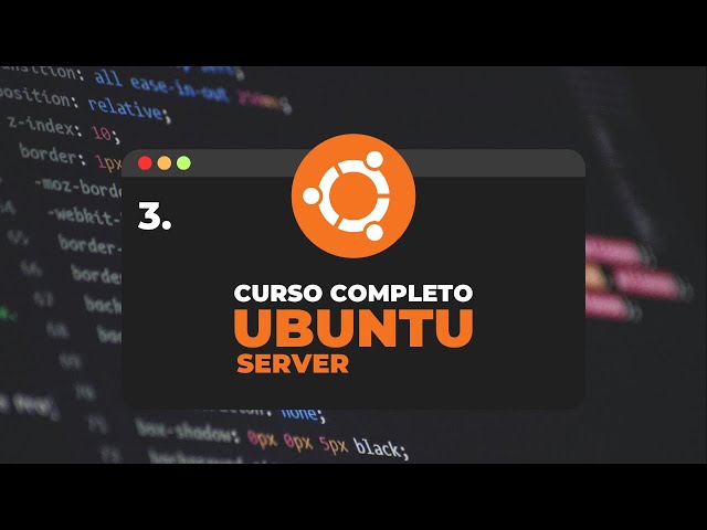 Curso de Ubuntu Server 24: 🖥️ - Capítulo 3 – Primeros pasos en Linux y comandos básicos