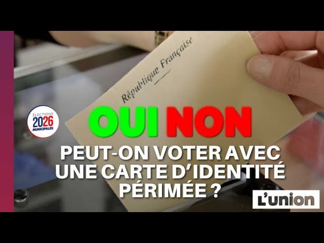 Municipales 2026 : peut-on voter aux élections avec une carte d'identité périmée ?