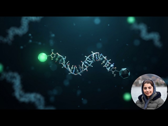 How to Design a TaqMan Assay | qPCR Primers & Hydrolysis Probes