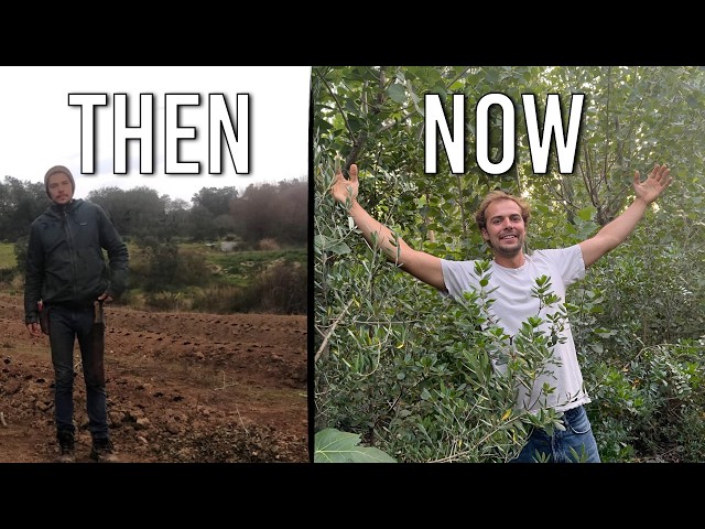 I planted 160.000 trees on my Portugal Homestead